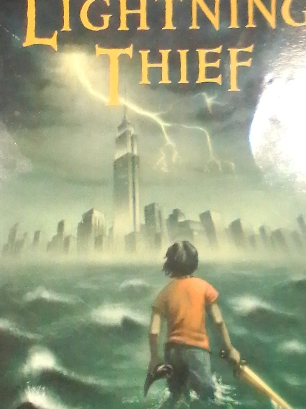The Lightning Thief Book
